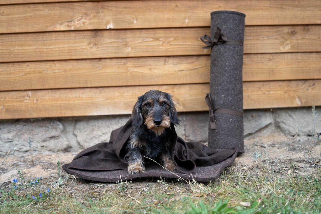 Hundelager mit Lodendecke