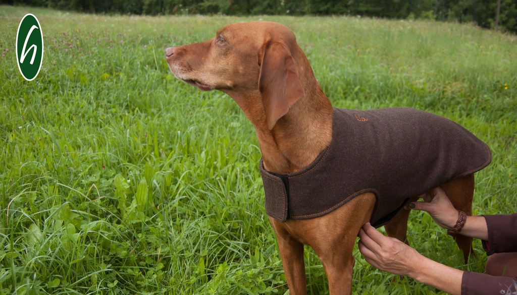 Hundemantel aus Loden (Maßfertigung)