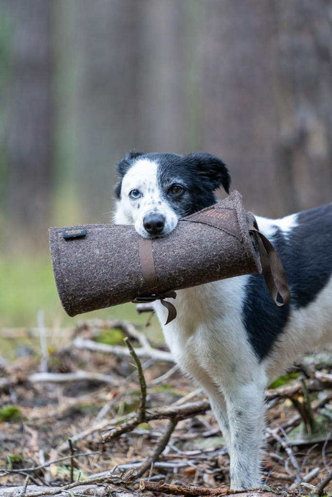 Sitzfilz Jäger  hubertusloden GmbH