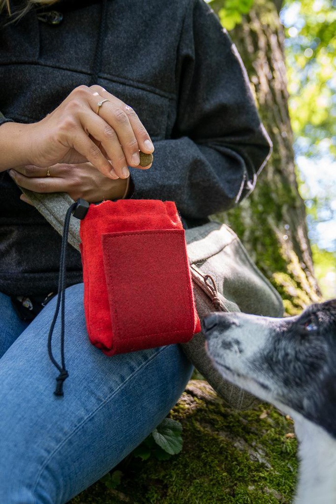 Hunde-Leckerlibeutel