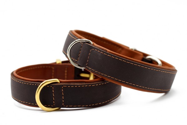 Collar Classic Premium (brown-cognac)